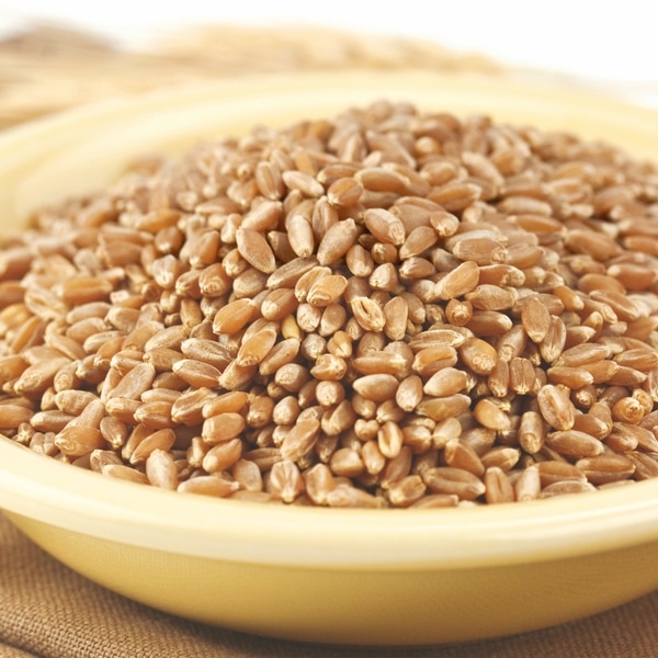 Organic Hard Red Spring Wheat Berries - 5lbs