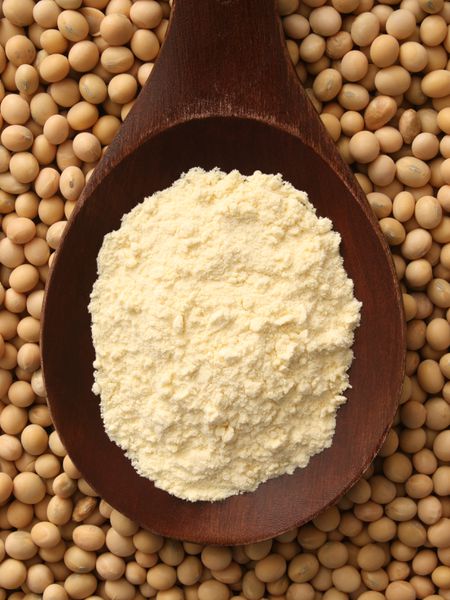 Organic Soy Flour, Raw Full Fat - 5lbs