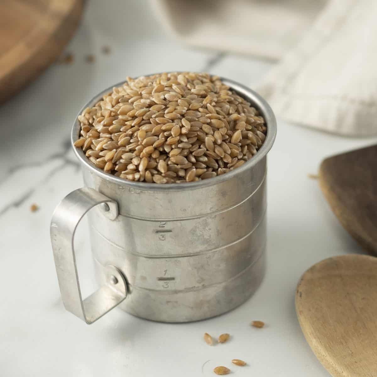 Organic Einkorn Berries - 5lbs